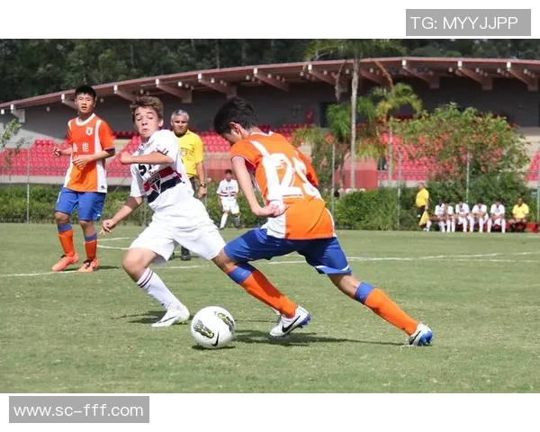 王锋足球生涯回顾：从青训到职业联赛的奋斗与荣耀