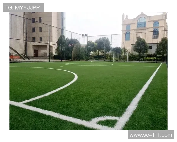 足球场地草皮的选择与养护技巧助力提升比赛质量与观赛体验