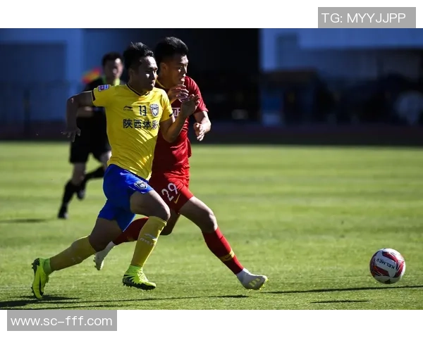 足球看水的魅力与哲学探讨如何在比赛中找到平衡与灵感